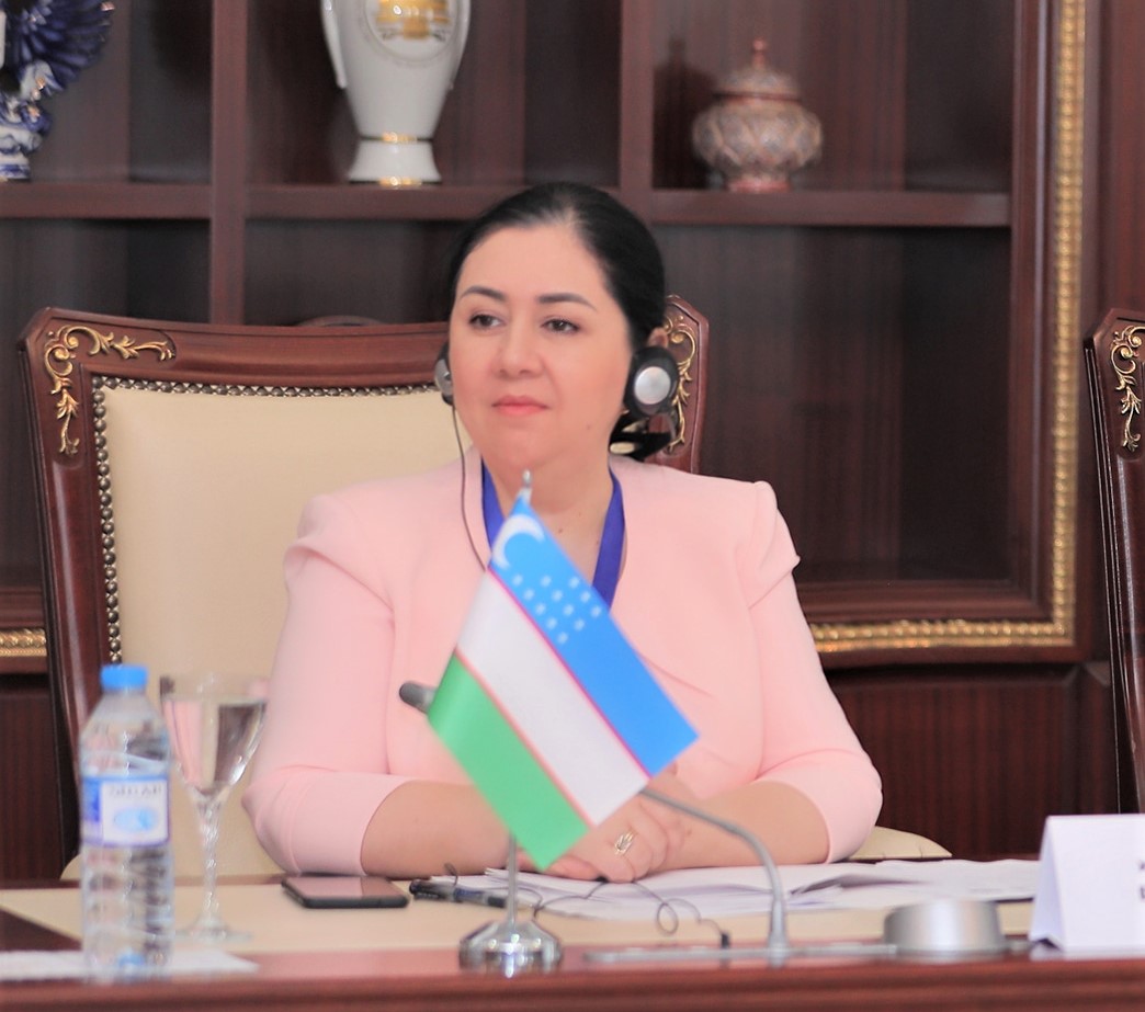 Protection of human rights in the Turkic-speaking Countries