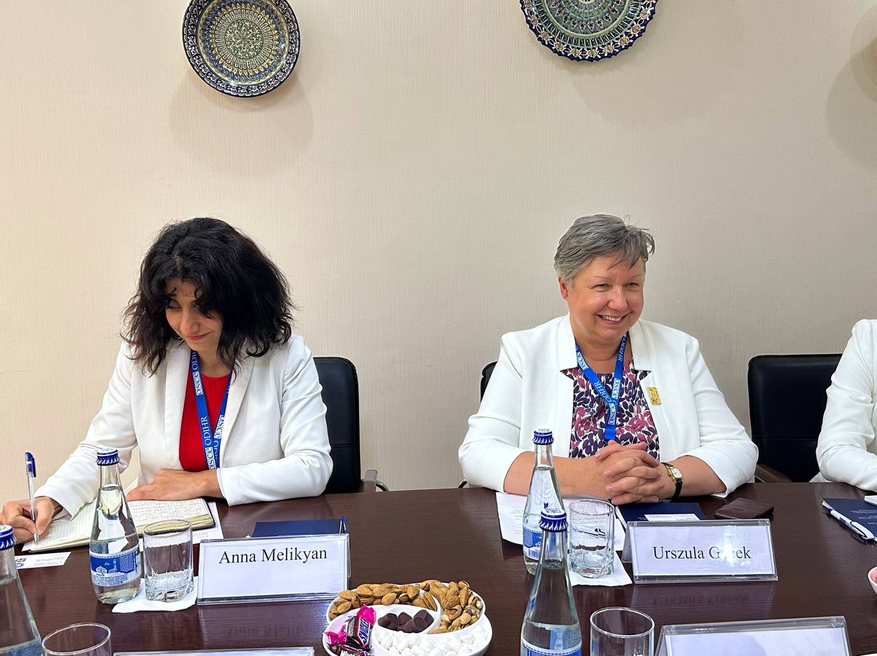 On the meeting of the Ombudsman with the head of the ODIHR/OSCE mission Urszula Gacek