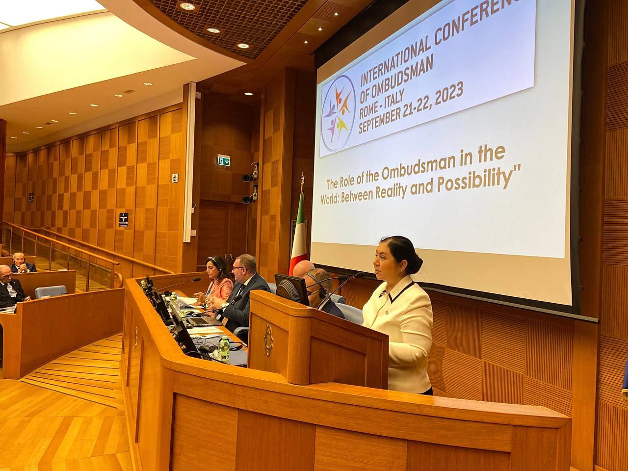 The international conference on 
